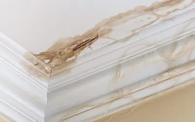 4 Places Water Damage Occurs in the Home