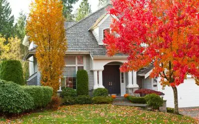 6 Easy Landscaping Tips for Fall