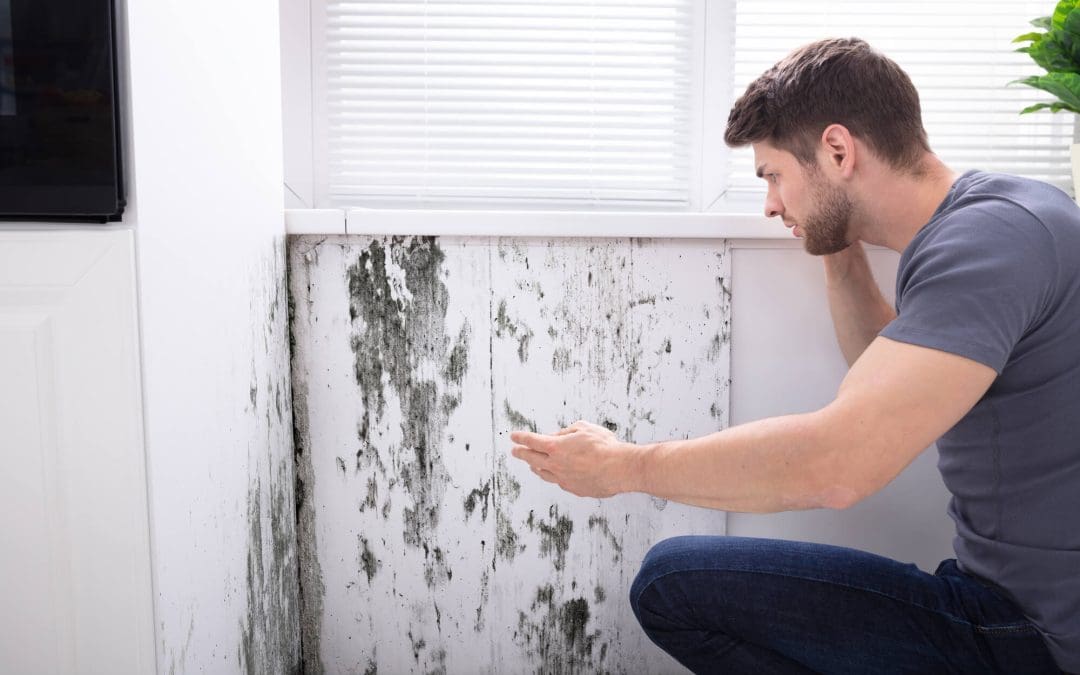 health effects of mold