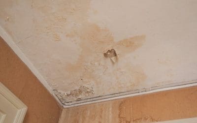Dealing with Residential Water Damage