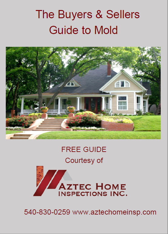 Buyers and Sellers Guide to Mold Ebook
