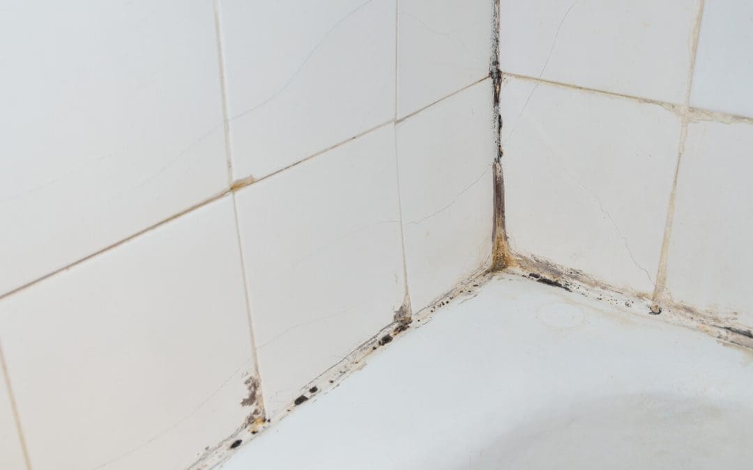 myths about mold