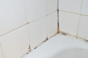 myths about mold
