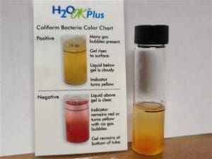 Postive Coliform test in drinking water.